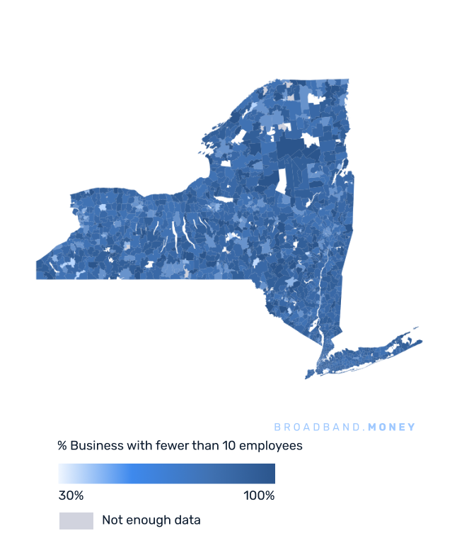 New York broadband investment map small business establishments 